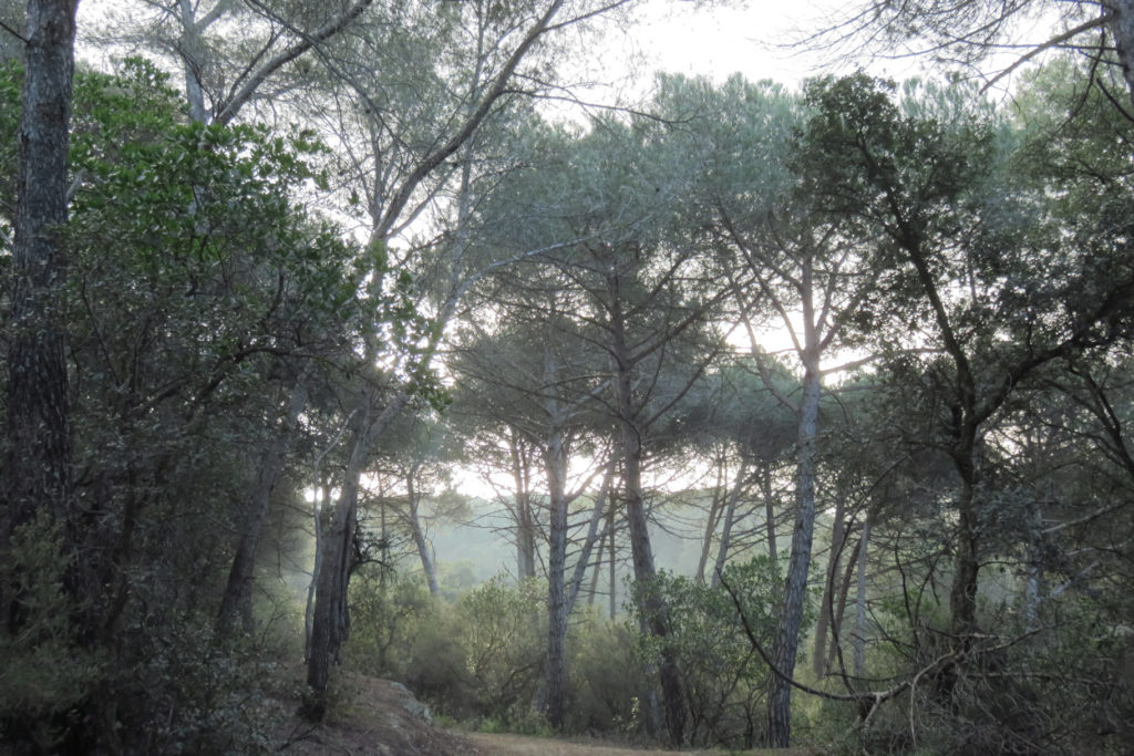  Serra d'en Benet