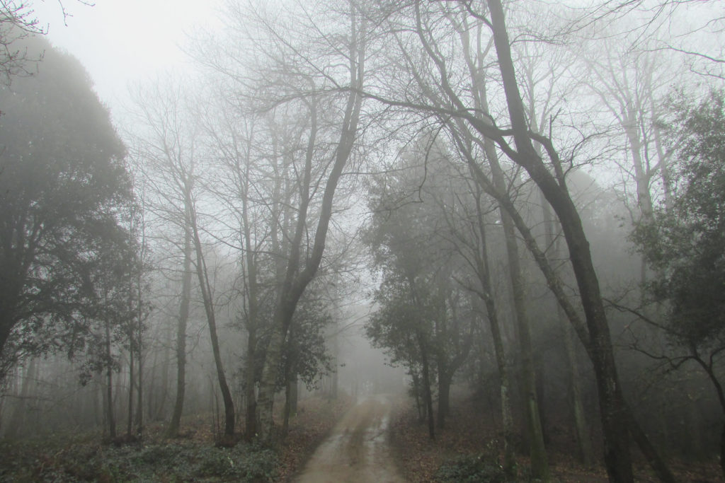 Pla de La Tanyada