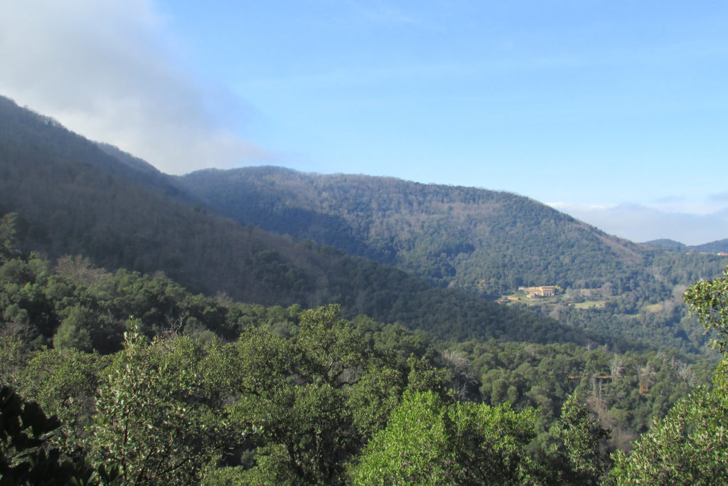 Bajo las cimas del Montnegre, Can Preses a la derecha