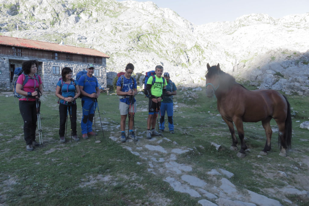 De izquierda a derecha: Nuria, Tere, Joaquín Murcia, Junior, Luis y Vicente junto al caballo porteador del Refugio de Vegarredonda, 1.410 mts.