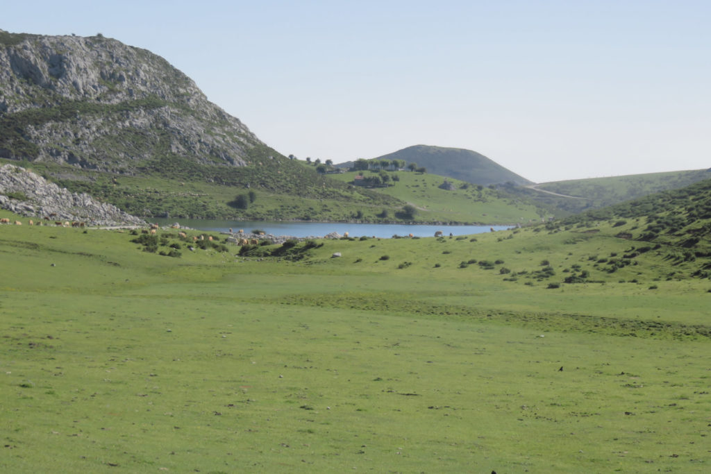 Lago de Enol