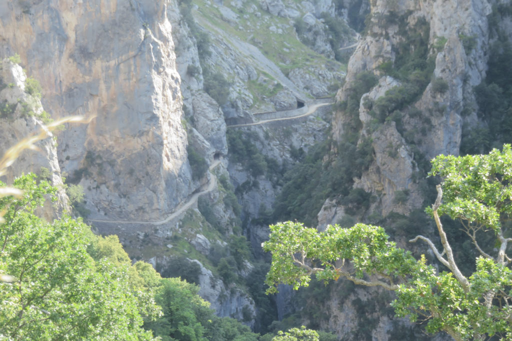 Abajo el camino de la Garganta del Cares