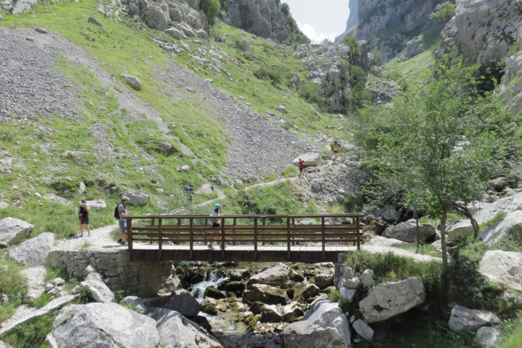 Puente del Zarcu camino de Bulnes 