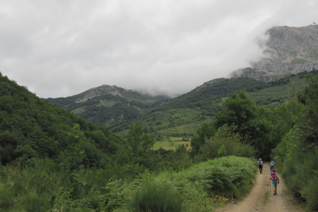 Bosques y hayedos camino de Argoya, arriba cubierto el Collau del Frade