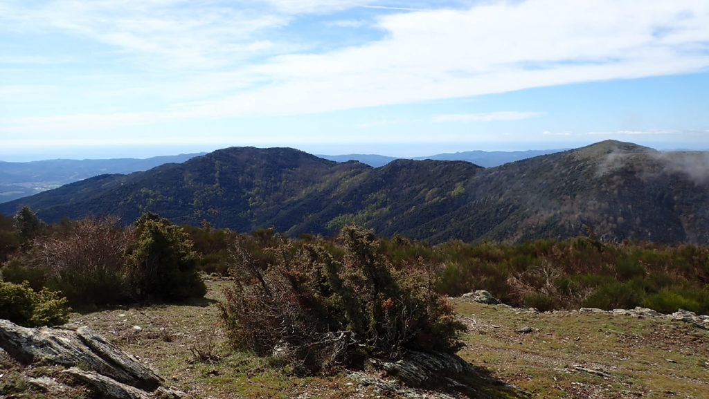 Desde el Puig Drau el Turó de Samon a la izquierda y el Suï a la derecha