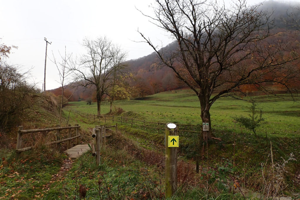 Siguiendo las marcas del Camí Ral hacia Olot, por detrás de La Cabreta