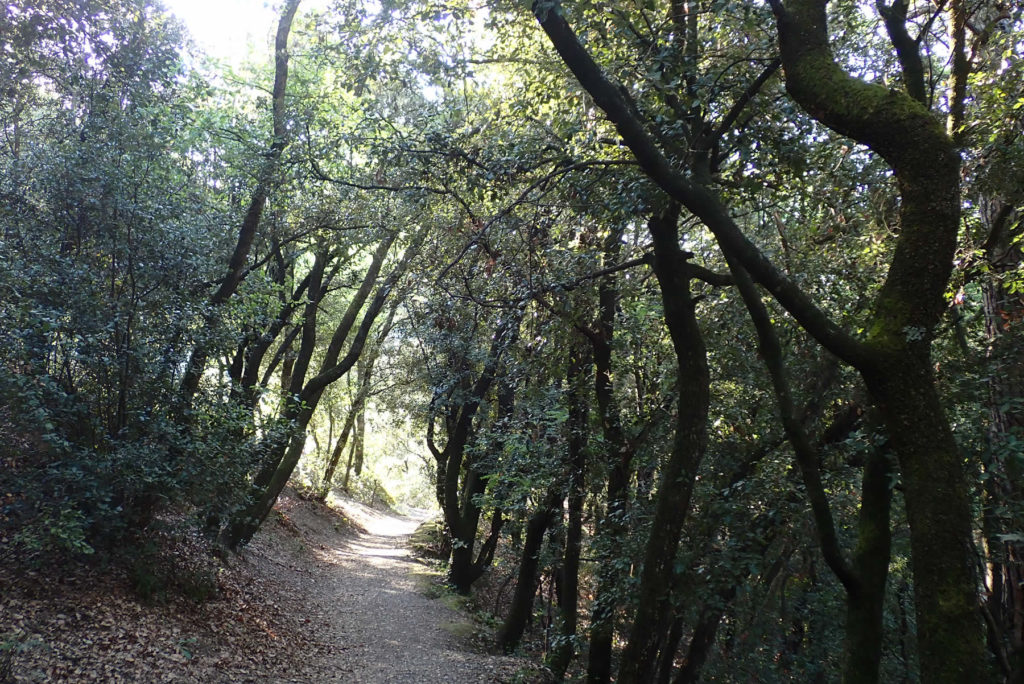 G.R.-5 saliendo de Montseny