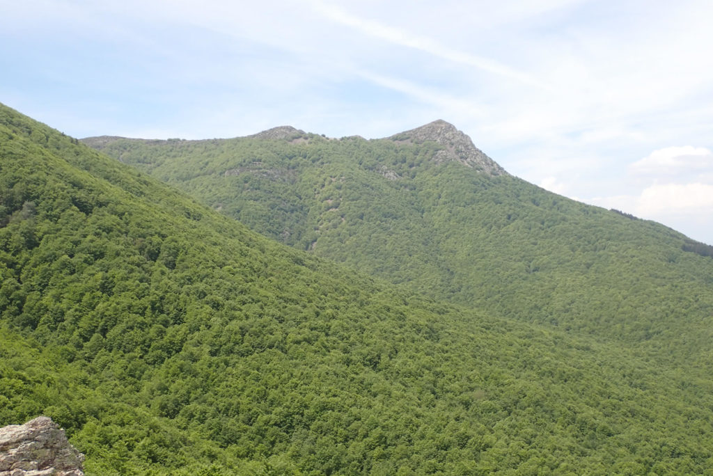 Les Agudes y el magnífico hayedo desde el Roc Perer, 1.332 mts.