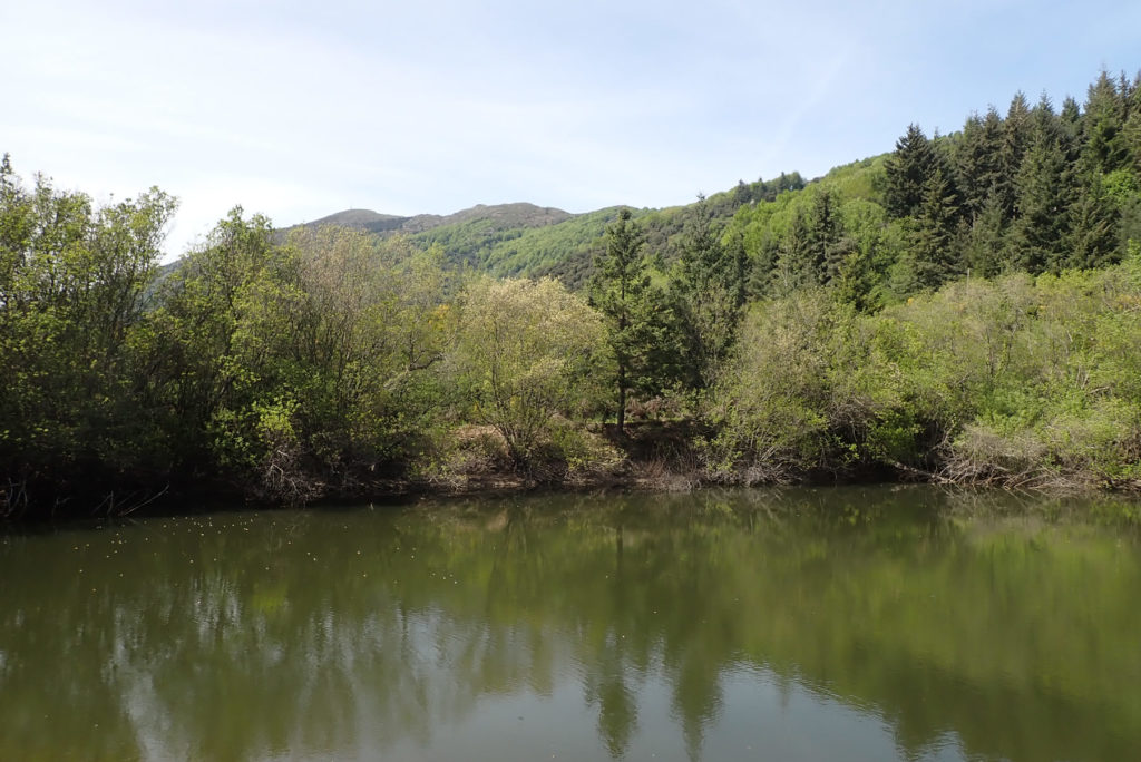 LLac d'en Viada con el Puig Sesolles y Turó Gros o d'en Paletreques a fondo