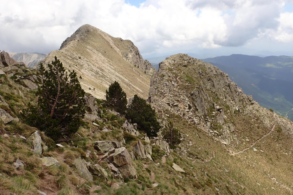 Camino del Gra de Fajol Petit