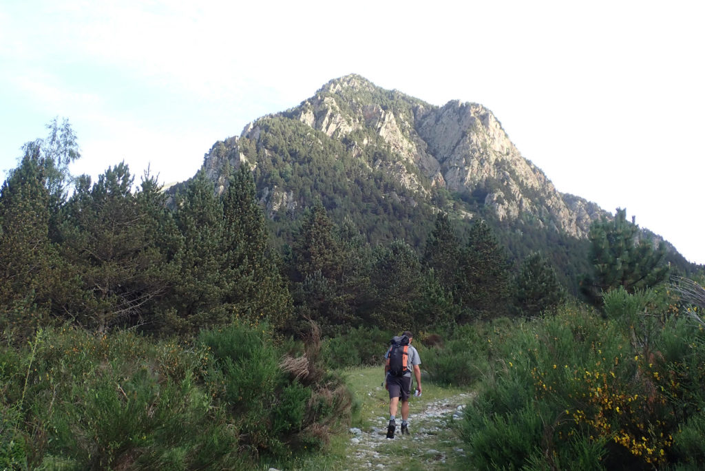 Pau en el Pla de La Molina, delate aparece el perfil, comienzo de la cresta sureste del Gra de Fajol Petit. Subimos por el lado izquierdo