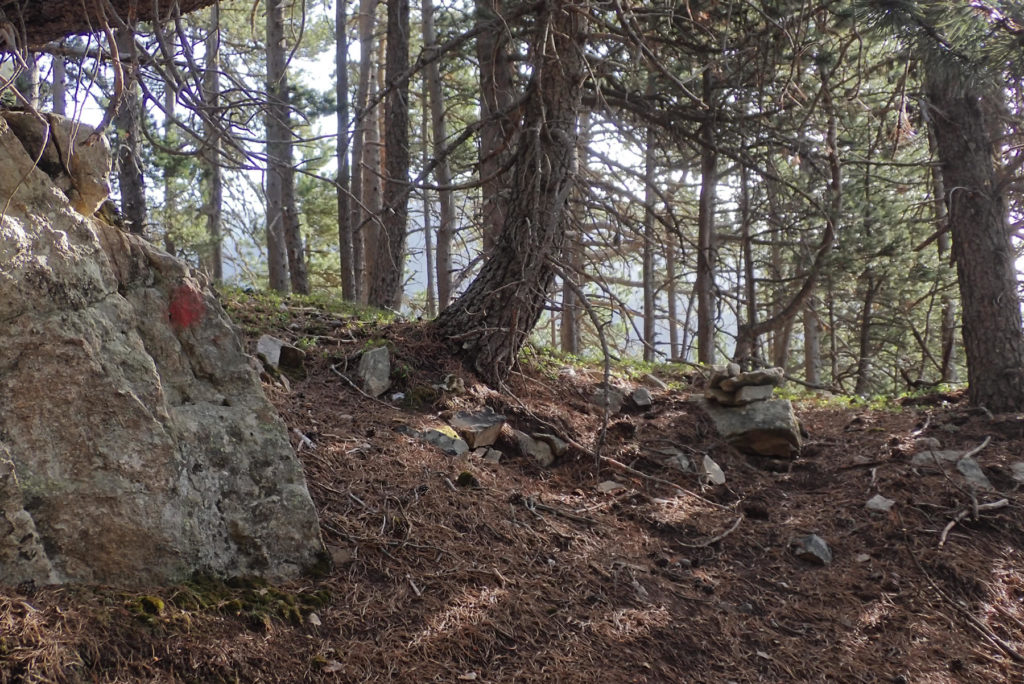 Entre el inclinado bosque descubrimos las marcas rojas e hitos