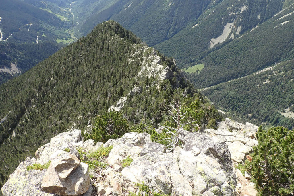 Atrás queda la Creu d'en Barniquell, su cresta, en el seguimiento de la subida de la cresta hacia la cima del Gra de Fajol Petit