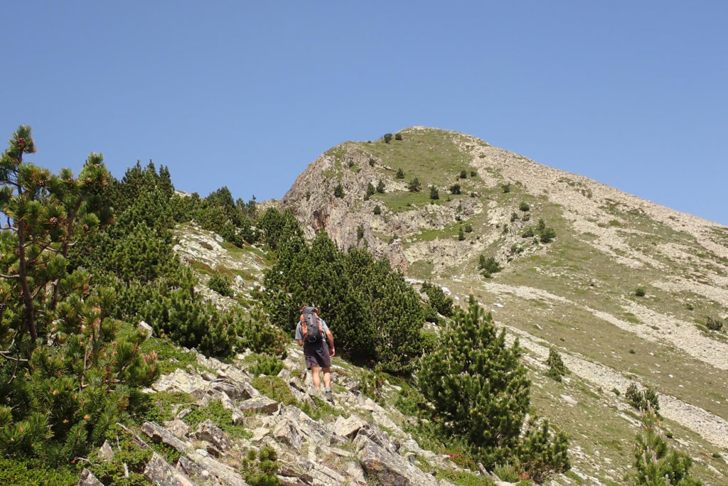 Acaba la cresta, seguimos por el cordal en busca de la cima del Gra de Fajol Petit